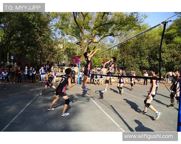 武汉排球队逆袭之路：从低谷到巅峰的杯赛传奇故事